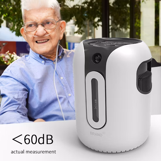 Psa 의료용 휴대용 산소 농축기 20-60L/min