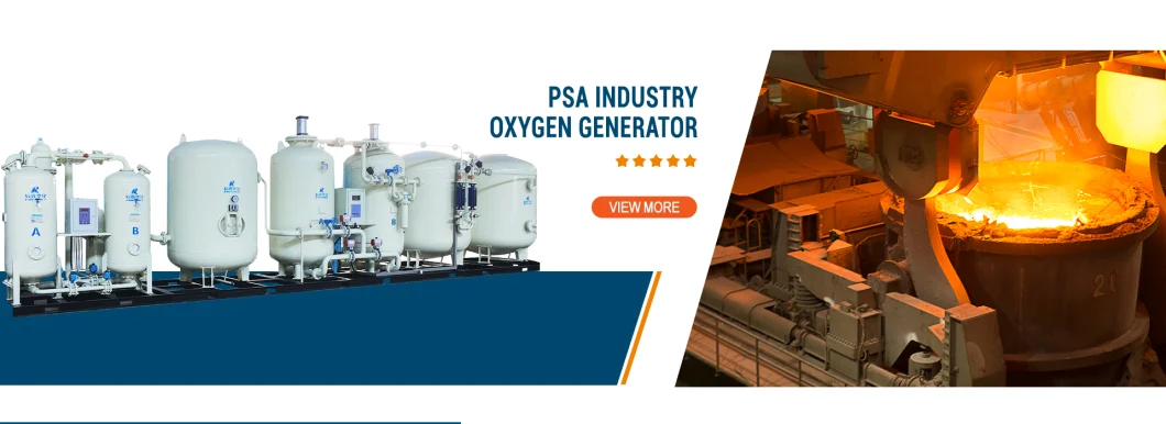 Psa Oxygen Nitrogen Argon Carbon Dioxide Gas Cylinder Filling Plant