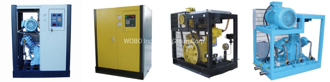 Air Gas Pump Oil Free O2 Compressor 150 Bar Oxygen Booster for Fish Aquaculture