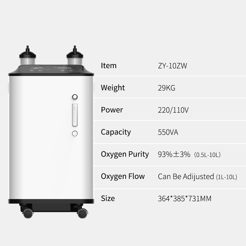 10L Home Use Medical Portable Oxygen Generator Price Factory Sale Portable Oxygen Concentrator Double Flow